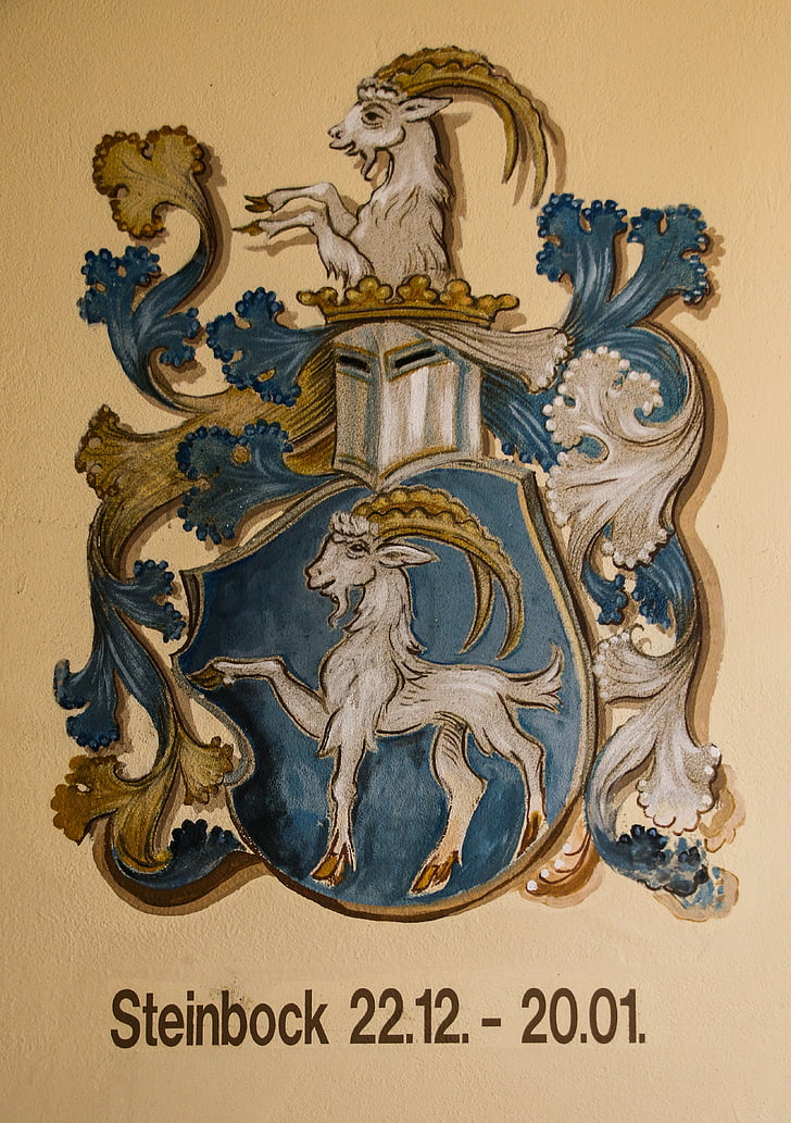 blue and brown ram with shield wall decor
