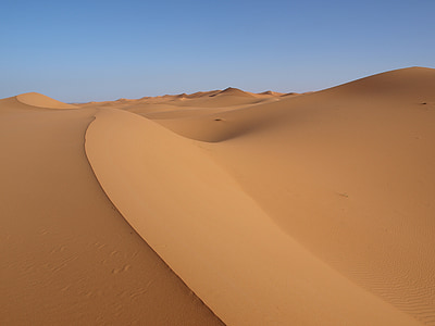 brown desert