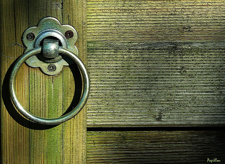 gray wooden door with door knocker