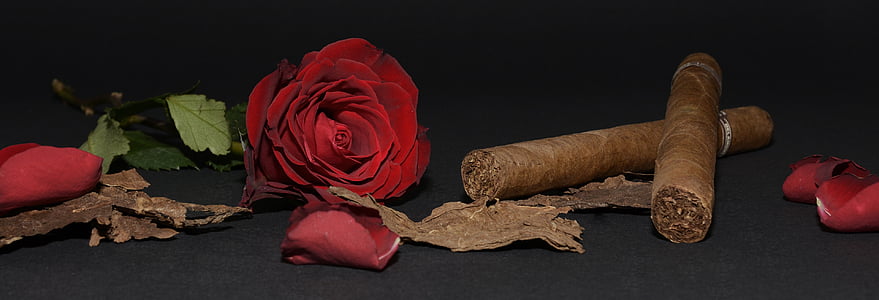 red Rose and two tobacco's on black surface