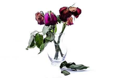 dried rose flowers in vase