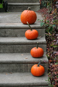 pumpkin on gray surface