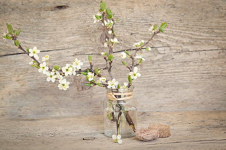 white flowers in glass jar with water