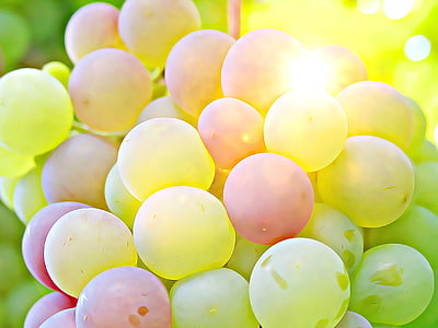 closeup photography green grapes
