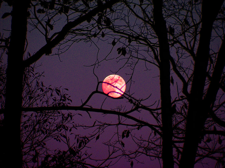 red moon during nighttime
