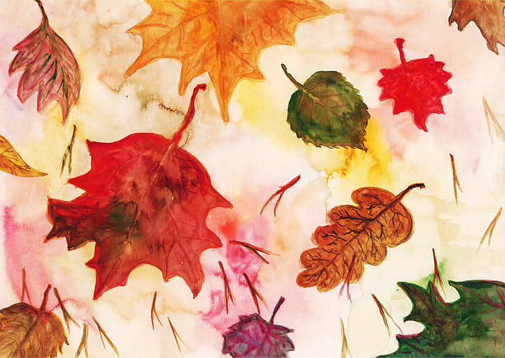 photo of maple leaf illustration