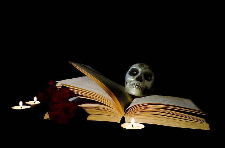 skull on opened book