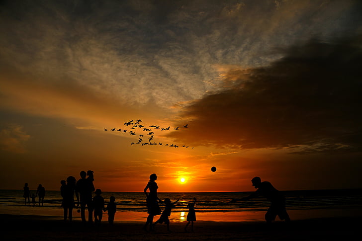 silhouette photo of people beside of beach during sunset