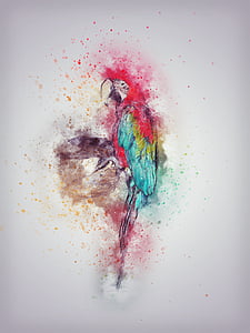 red, blue, and yellow parrot painting