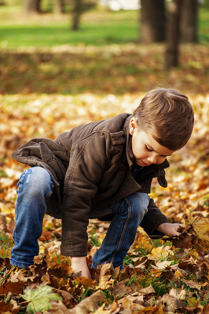 boy wearing brown jacket and blue jeans picking brown leaves