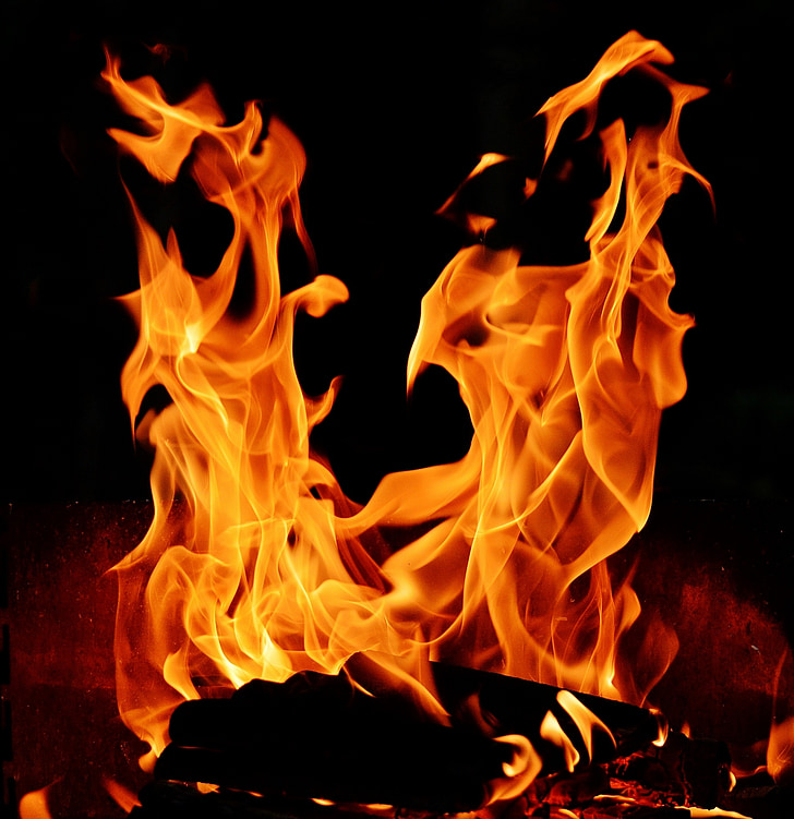 burning woods illustration