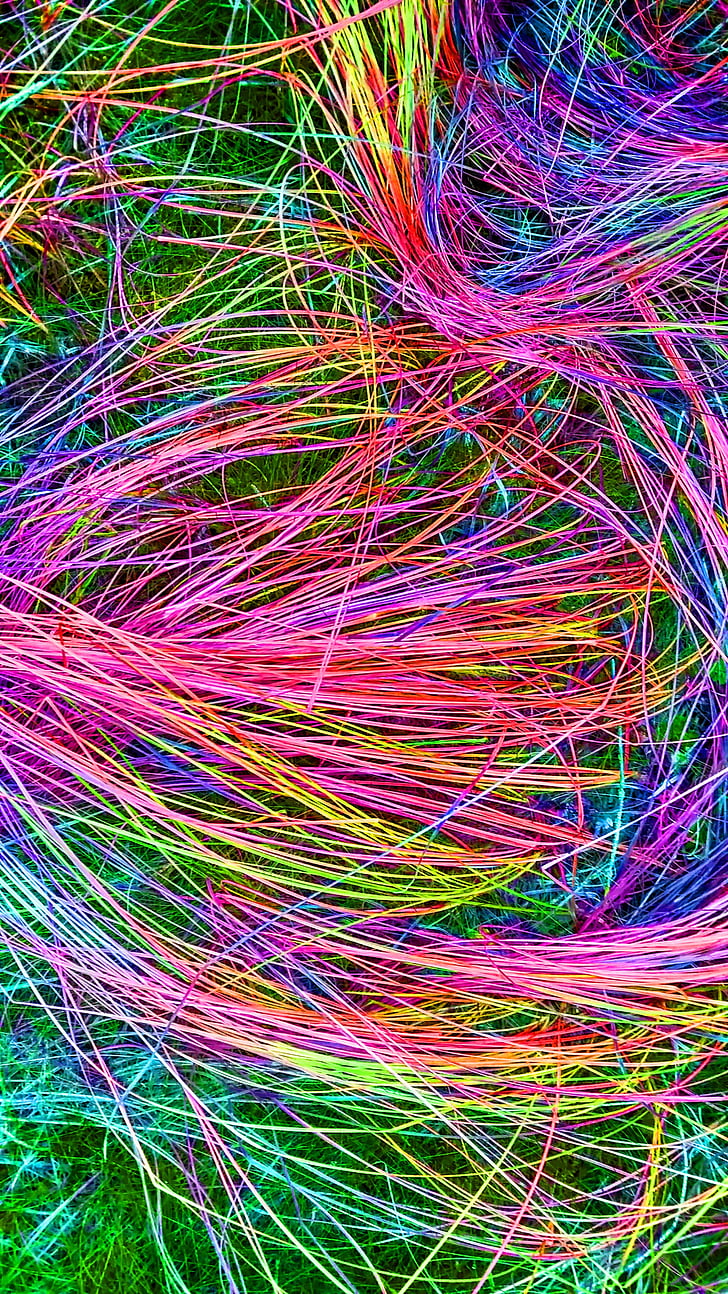 assorted-color strings on green grass