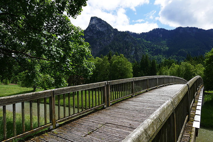 brown and gray bridge near tall green tree with mountain background