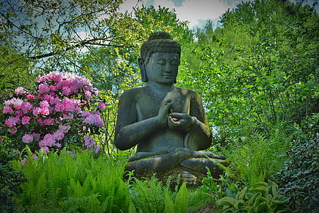 Gautama Buddha statue near flowering tree