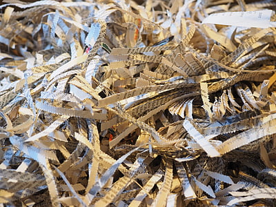 shredded paper lot