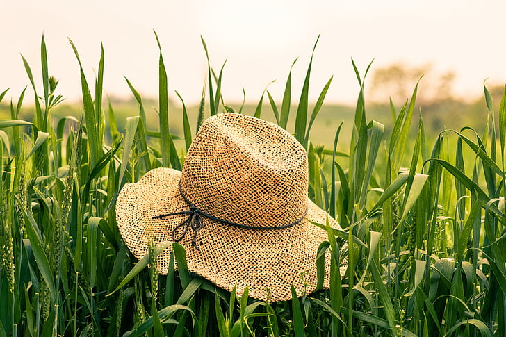 brown wicker hat on green field