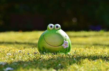 closeup photo of green frog figurine