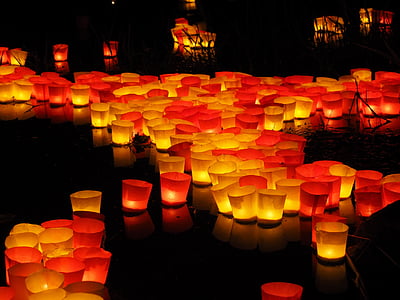 paper cups with candle floating during nighttime