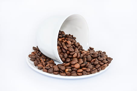 coffee beans on white ceramic plate