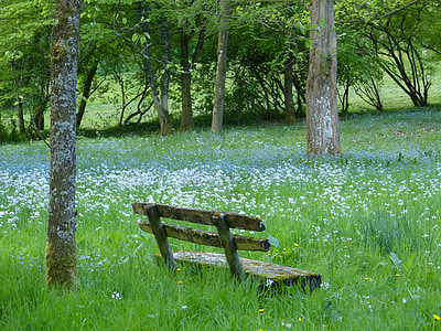 brown bench on grass field