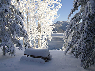 portrait photography of bench covered with snow
