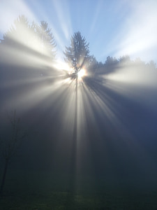 photo of crepuscular rays