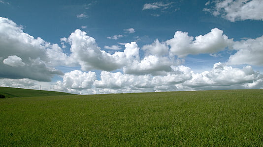 green grassland under white and blue cloudy sky during daytime