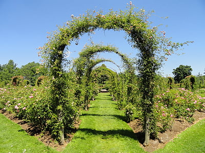 green flower arch in garden