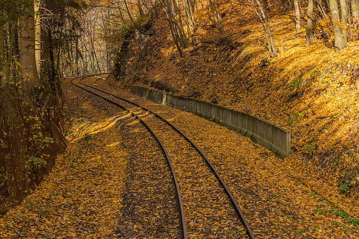 train rail near trees