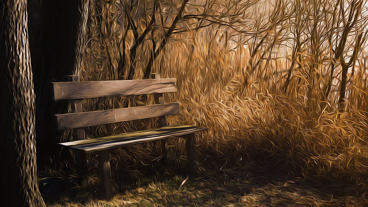 brown wooden bench near bare trees