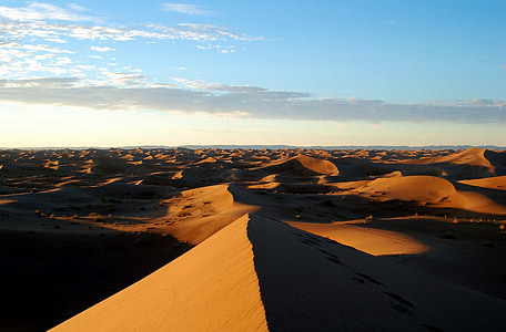photography of desert