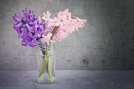 pink and purple petaled flower arrangement