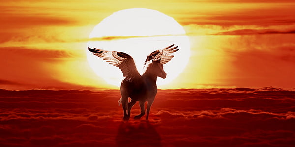 Pegasus flying during sunset