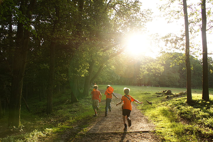 three children running on forest trail