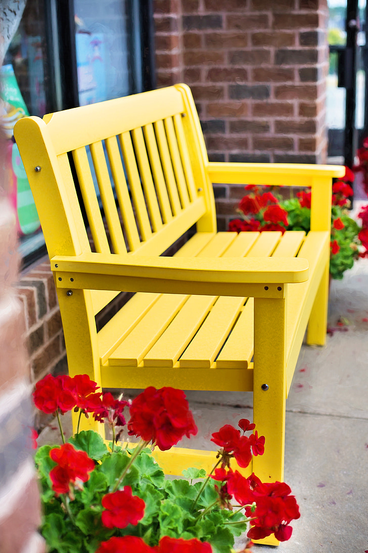 red potted geranium flowers beside yellow wooden bench