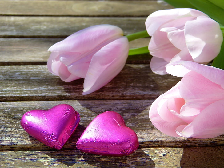 pink tulip flowers and pink heart candies