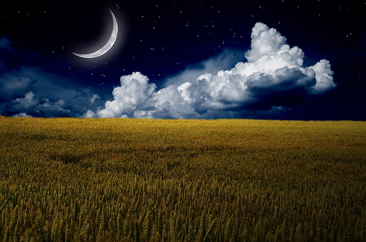 brown field with clouds and crescent moon