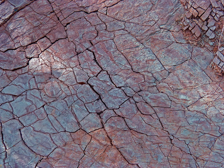 closeup photo of brown soil