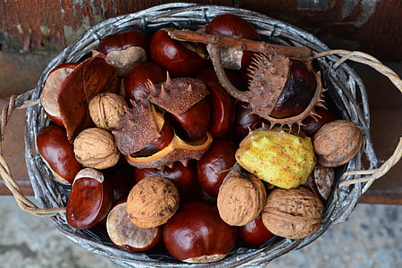 aerial photography of nuts in basket