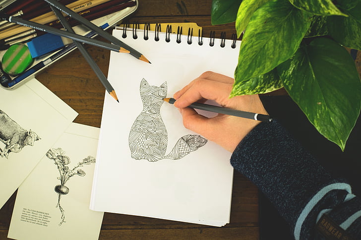 Royalty-Free photo: Person draws a cat | PickPik