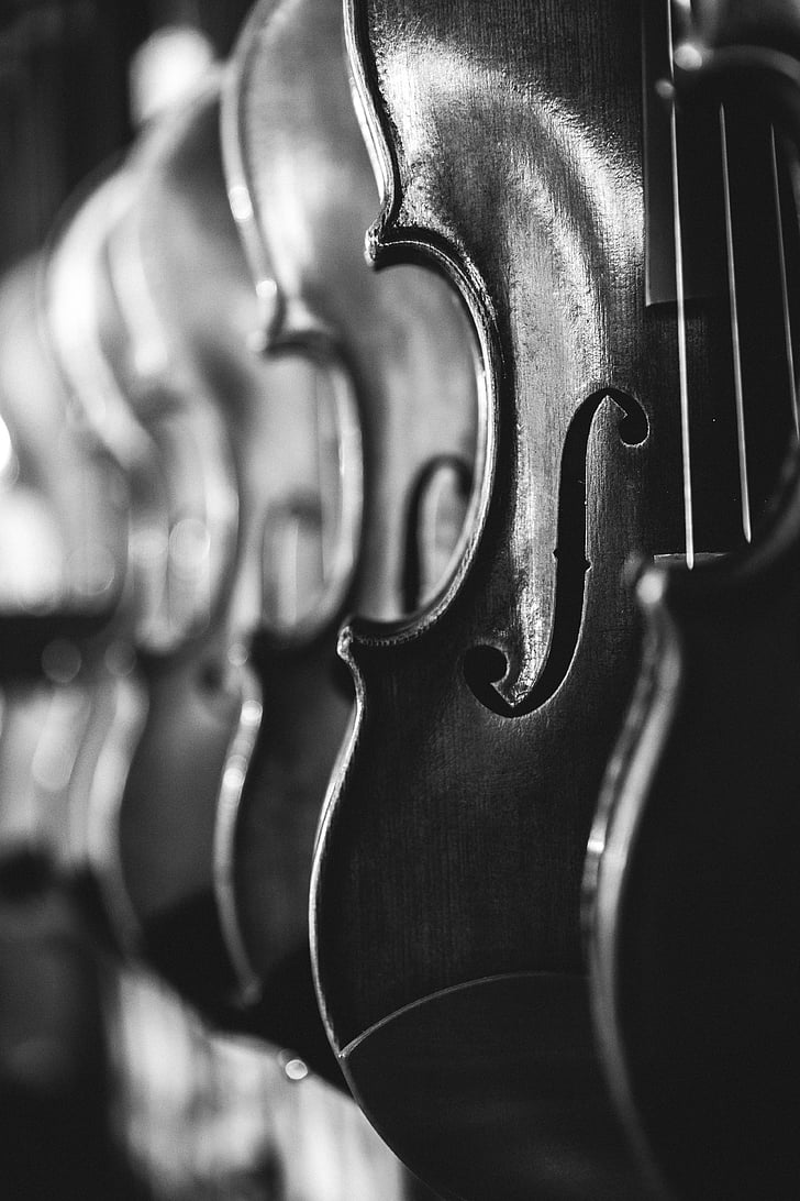 greyscale photo of violins