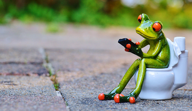 ceramic green frog sitting on toilet bowl figurine
