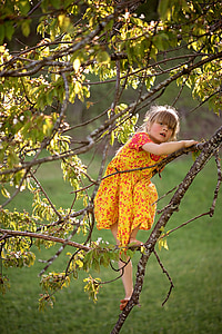 blonde-haired girl wearing yellow and red floral dress on tree branch during daytime