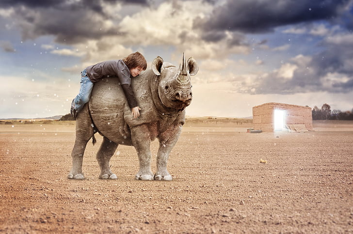 boy riding on rhino