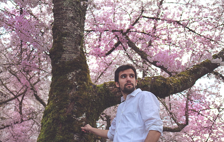 man wearing white dress shirt standing beside cherry blossom tree at daytime
