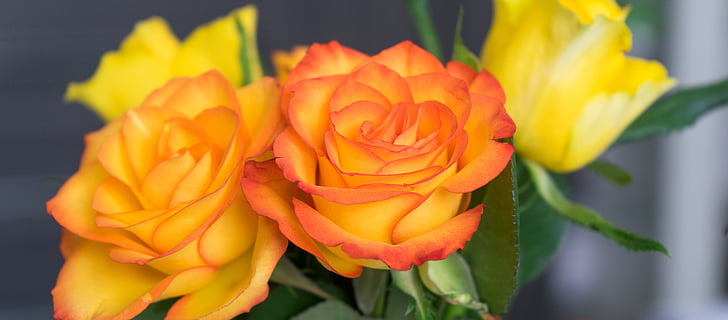 shallow photography of orange-and-yellow artificial flowers