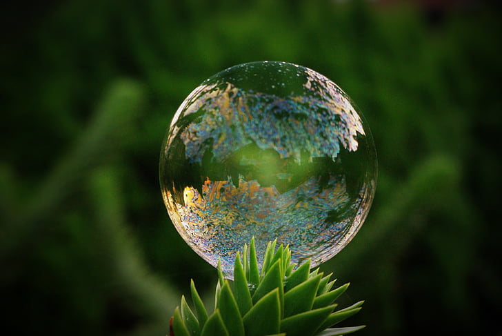 time lapse photography of water drop above green plant