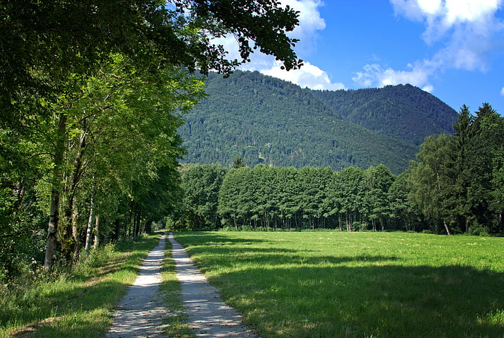 photo of road beside rice field with a view of mountain under blue sky