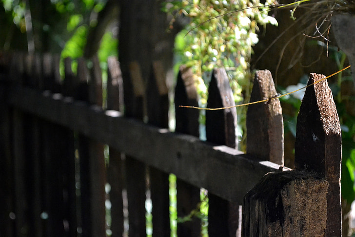 photography of brown wooden fence near tree at daytime