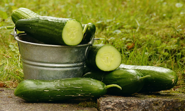 green cucumbers on gray stainless steel bucket